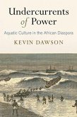 Undercurrents of Power (eBook, ePUB)