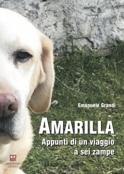 Amarilla. Appunti di un viaggio a sei zampe - Grandi, Emanuele