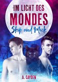 Im Licht des Mondes (eBook, ePUB)