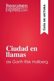 Ciudad en llamas de Garth Risk Hallberg (Guía de lectura) (eBook, ePUB)