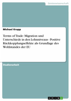 Terms of Trade: Migration und Unterschiede in den Lohnniveaus - Positive Rückkopplungseffekte als Grundlage des Wohlstandes der EU (eBook, ePUB)