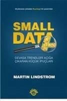 Small Data - Lindstrom, Martin