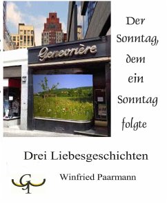 Der Sonntag, dem ein Sonntag folgte (eBook, ePUB) - Paarmann, Winfried