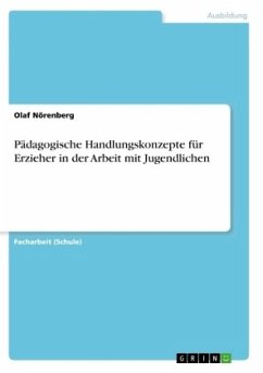 Pädagogische Handlungskonzepte für Erzieher in der Arbeit mit Jugendlichen - Nörenberg, Olaf