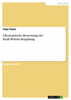 Ökonomische Bewertung der Kraft-Wärme-Kopplung (eBook, ePUB)