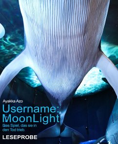 Username: MoonLight (eBook, ePUB) - Azo, Ayakka