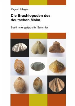 Die Brachiopoden des deutschen Malm (eBook, ePUB)