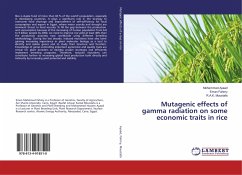 Mutagenic effects of gamma radiation on some economic traits in rice