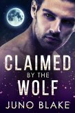 Claimed by the Wolf (Werewolf Fever, #2) (eBook, ePUB)