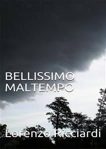 Bellissimo Maltempo (eBook, ePUB) - Ricciardi, Lorenzo