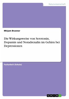 Die Wirkungsweise von Serotonin, Dopamin und Noradrenalin im Gehirn bei Depressionen - Brunner, Mirjam