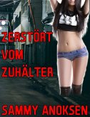 Zerstört vom Zuhälter (eBook, ePUB)