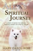 Ally's Spiritual Journey (eBook, ePUB)