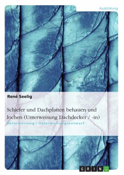 Schiefer und Dachplatten behauen und lochen (Unterweisung Dachdecker / -in) (eBook, ePUB) - Seelig, René