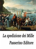 La spedizione dei Mille (eBook, ePUB)