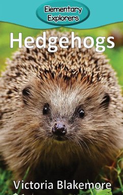 Hedgehogs - Blakemore, Victoria