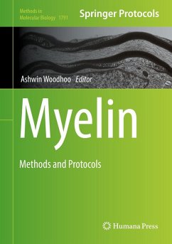 Cover Myelin