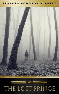 Cover The Lost Prince (eBook, ePUB)