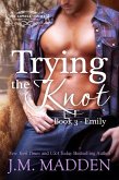 Trying the Knot (The Lowells of Honeywell, Texas, #3) (eBook, ePUB) Trying the Knot (The Lowells of Honeywell, Texas, #3) (eBook, ePUB)