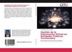 Gestión de la Información Virtual en Entidades Públicas Territoriales - Pichón Gómez, LUIS CARLOS