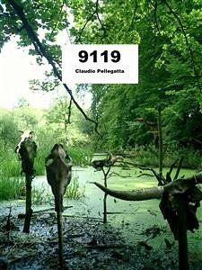 9119 - Teutoburgo (eBook, ePUB) - Pellegatta, Claudio