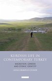 Kurdish Life in Contemporary Turkey (eBook, ePUB)