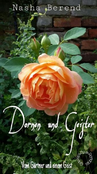 Dornen und Geister (eBook, ePUB) Dornen und Geister (eBook, ePUB)