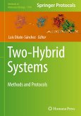 Two-Hybrid Systems