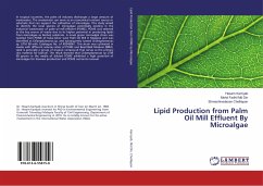 Lipid Production from Palm Oil Mill Effluent By Microalgae