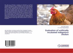 Evaluation of artificially incubated indigenous chicken