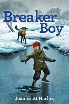 Breaker Boy - Harlow, Joan Hiatt
