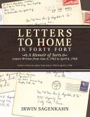 Letters to Home in Forty Fort: Volume 1