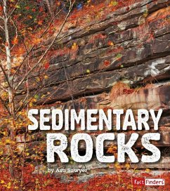 Sedimentary Rocks - Sawyer, Ava