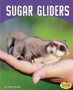 Sugar Gliders - Wilson, Paula M.