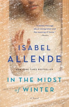 In the Midst of Winter - Allende, Isabel