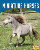 Miniature Horses