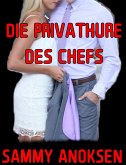 Die Privathure des Chefs (eBook, ePUB)