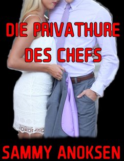 Die Privathure des Chefs (eBook, ePUB) - Anoksen, Sammy