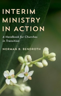 Interim Ministry in Action - Bendroth, Norman B.