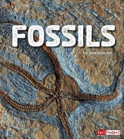 Fossils - Sawyer, Ava
