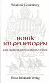 Bobik im Feuerofen (eBook, PDF)