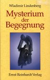 Mysterium der Begegnung (eBook, PDF)