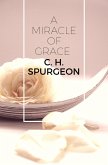 A Miracle of Grace (eBook, ePUB) A Miracle of Grace (eBook, ePUB)