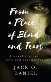 From a Place of Blood and Tears (eBook, ePUB)