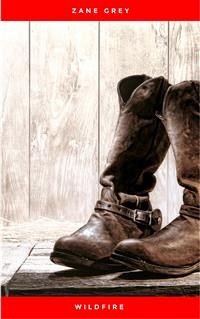 Cover Wildfire: Special Edition (eBook, ePUB)