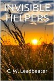 Invisible Helpers (eBook, ePUB)