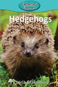 Hedgehogs - Blakemore, Victoria