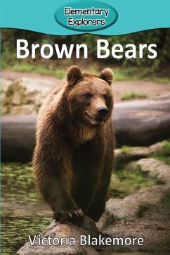 Brown Bears - Blakemore, Victoria