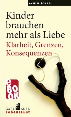 Kinder brauchen mehr als Liebe (eBook, PDF) - Schad, Achim