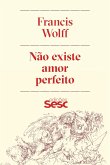 Não existe amor perfeito (eBook, ePUB)